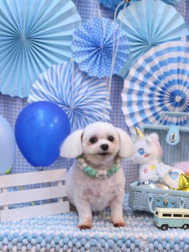 20231128サクラちゃん